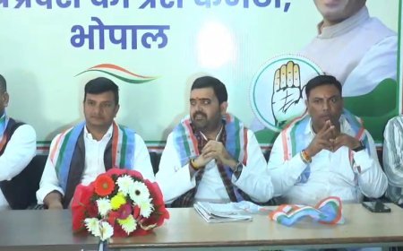 एनएसयूआई जिला कार्यकारिणी की महत्वपूर्ण बैठक संपन्न, नवनियुक्त एवं नवनिर्वाचित पदाधिकारियों का हुआ सम्मान